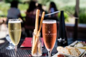 2026年世界杯亚洲区预选赛18强，激情四射，未来可期世界杯亚洲区预选赛18强