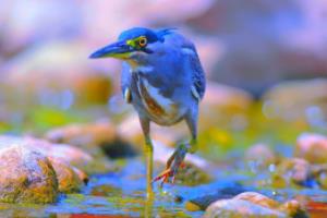 2026年世界杯，一场跨越时空的足球盛宴2026年世界杯举办时间