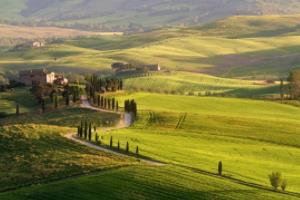 2026年世界杯，一场跨越时空的足球盛宴2026年世界杯举办时间